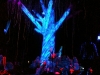 foam_tree-1